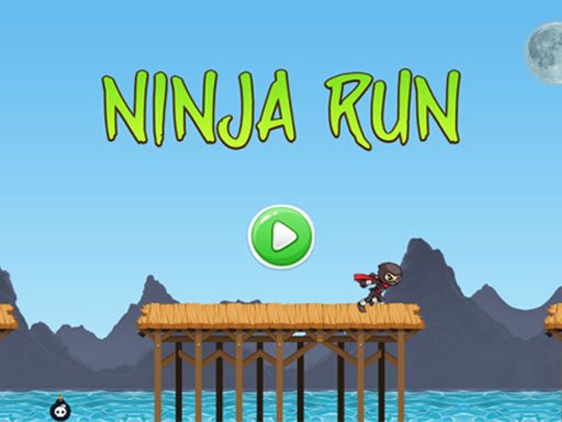 Ninja Run Adventure Online